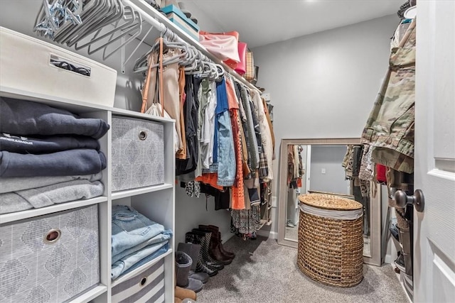 walk in closet with carpet floors