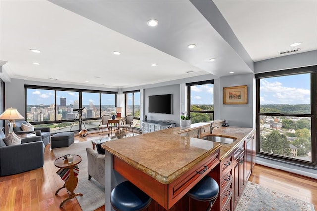 kitchen featuring an island with sink, light wood-type flooring, crown molding, and sink