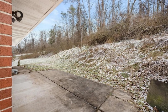 view of yard featuring a patio