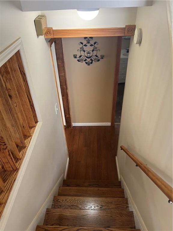 stairway featuring wood-type flooring