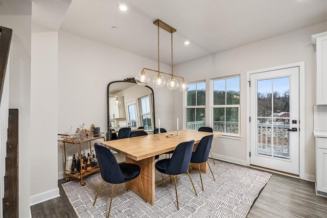 dining area with hardwood / wood-style floors