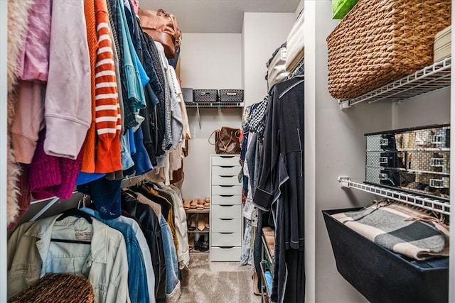 walk in closet featuring carpet floors