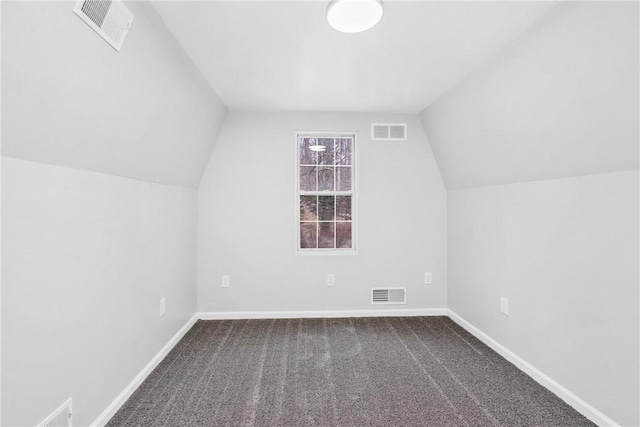 additional living space featuring carpet floors and lofted ceiling