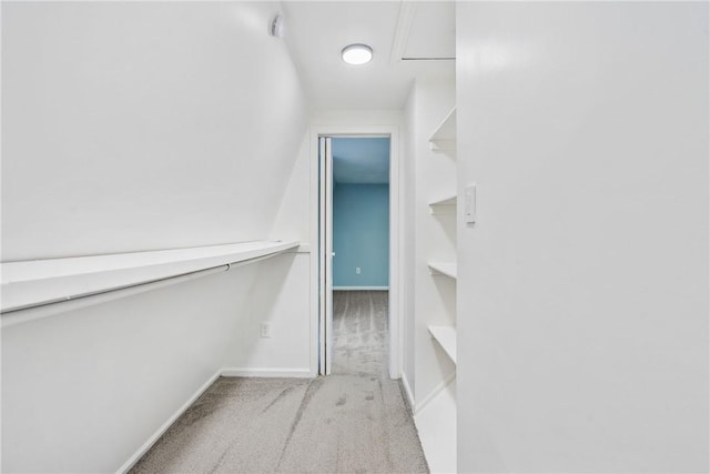 spacious closet featuring light colored carpet