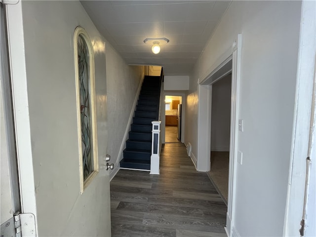 corridor featuring dark wood-type flooring