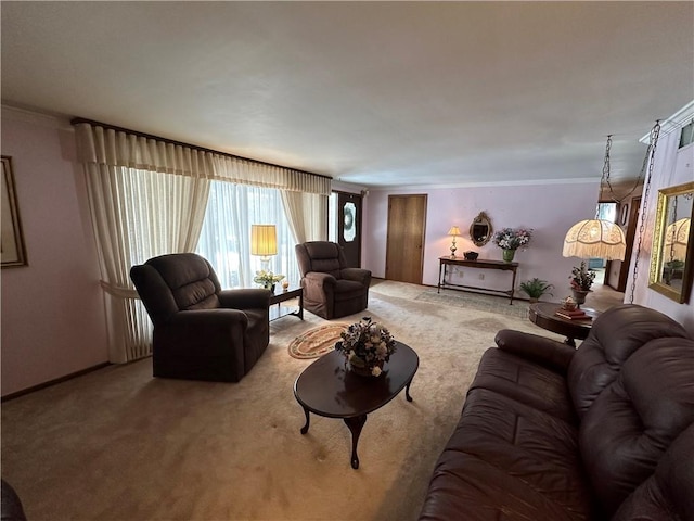 living room featuring carpet floors and crown molding