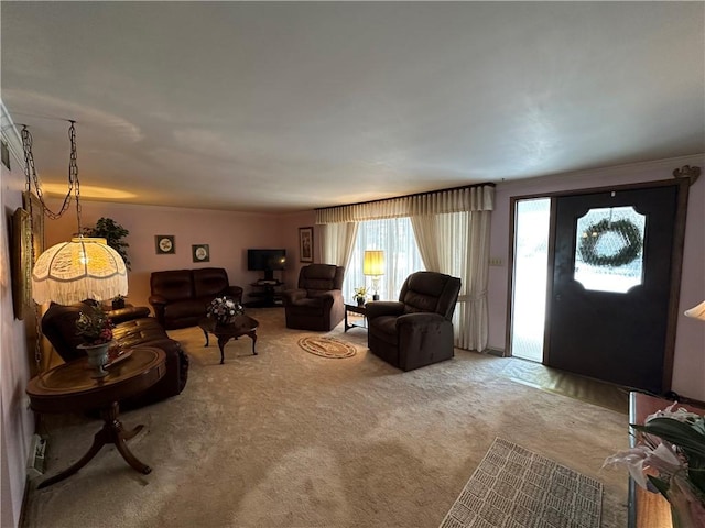 living room with carpet floors