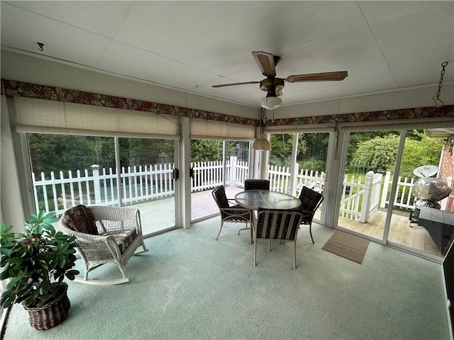 134 Shanor Hts, Center Twp But, PA 16001 - sunroom / solarium featuring a ceiling fan, carpet floors, and outdoor dining area