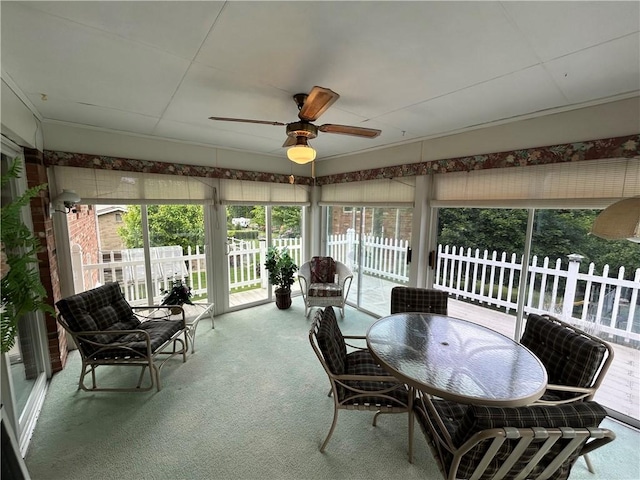 134 Shanor Hts, Center Twp But, PA 16001 - sunroom with carpet and a ceiling fan