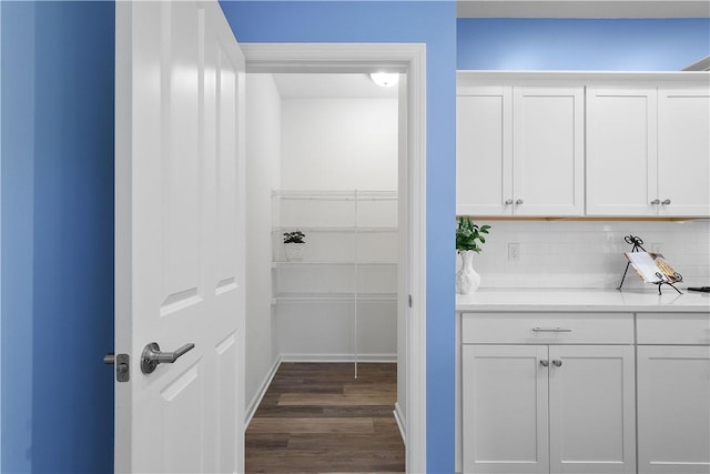 bathroom featuring wood-type flooring and tasteful backsplash