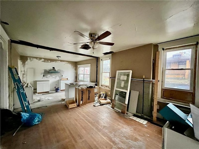 miscellaneous room with ceiling fan and plenty of natural light