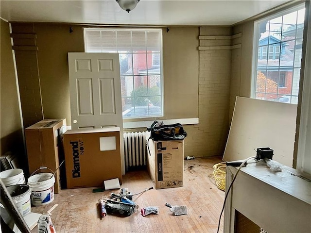 misc room featuring plenty of natural light and radiator