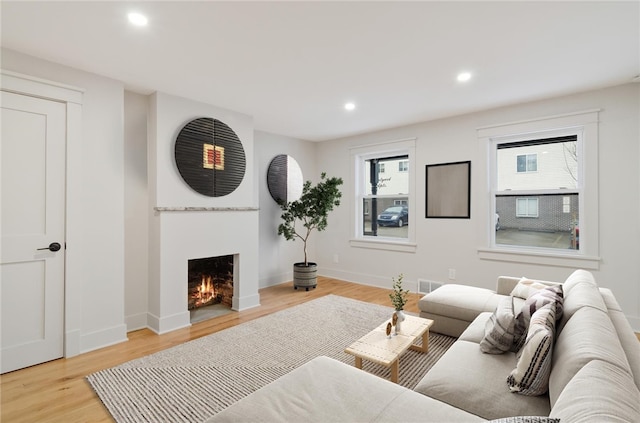 living room with a healthy amount of sunlight and light hardwood / wood-style floors