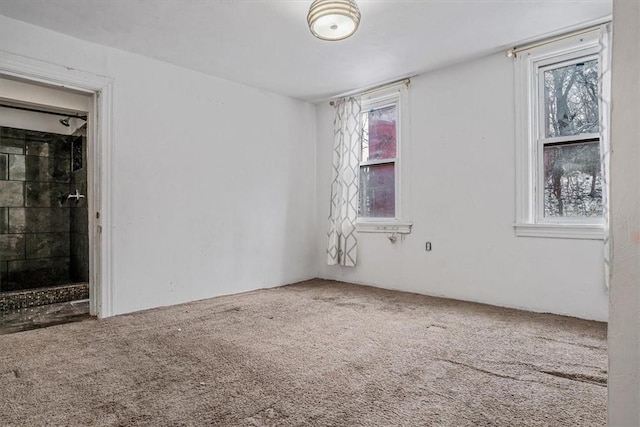 empty room featuring carpet floors