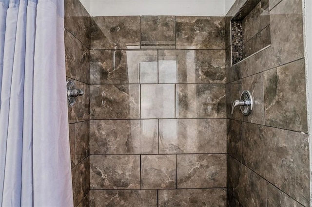 room details with a shower with shower curtain