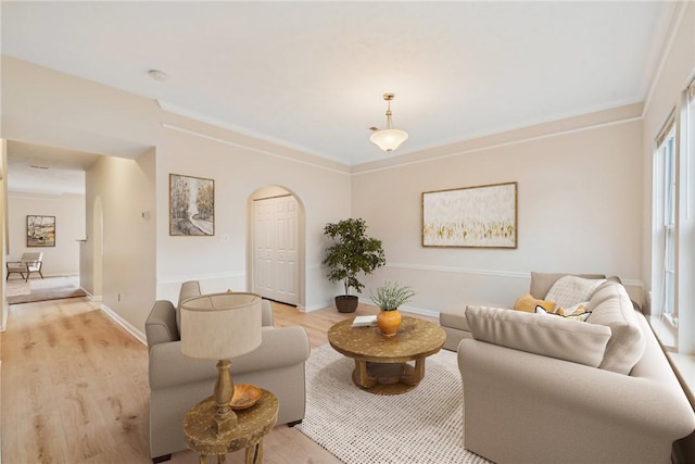 living room with ornamental molding, a healthy amount of sunlight, and light wood-type flooring