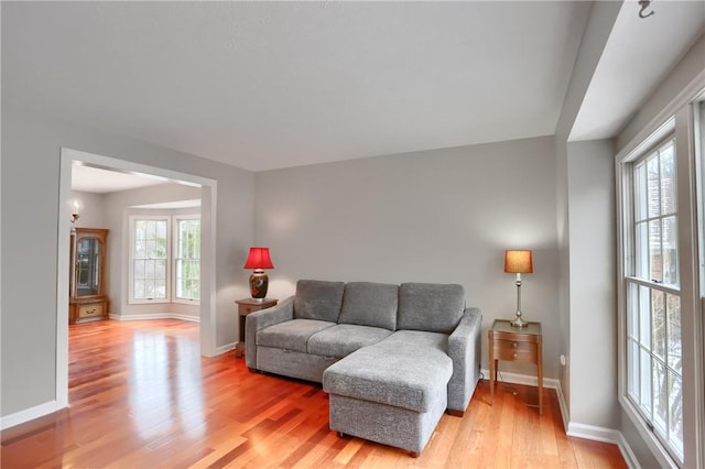 living room featuring light hardwood / wood-style floors