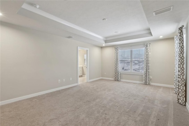 spare room featuring a raised ceiling and light colored carpet