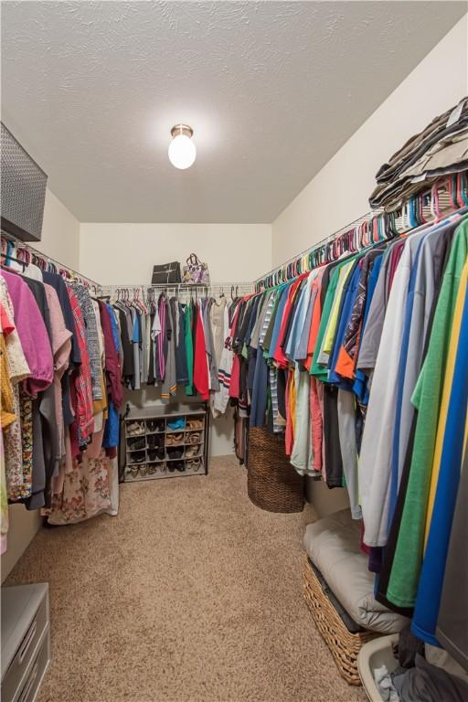 spacious closet featuring carpet flooring