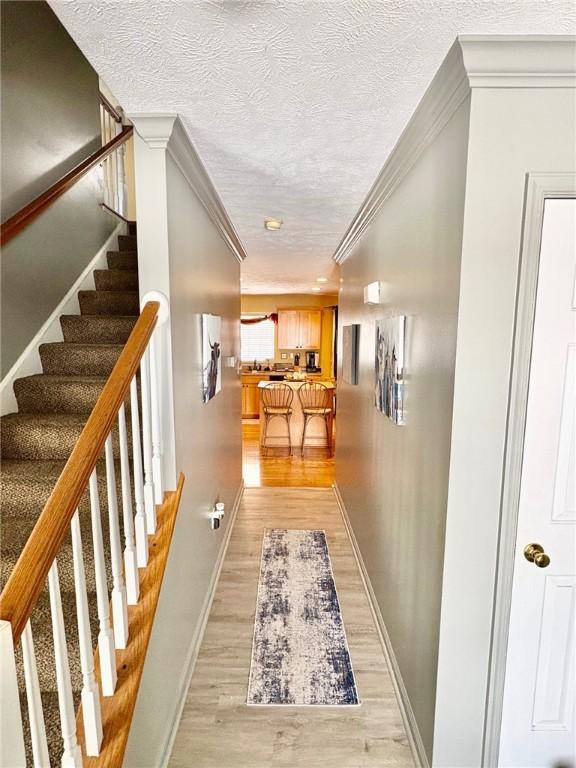 hall featuring light hardwood / wood-style flooring and ornamental molding