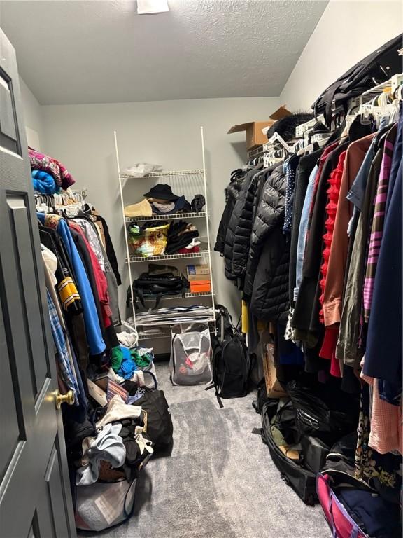 spacious closet with carpet floors