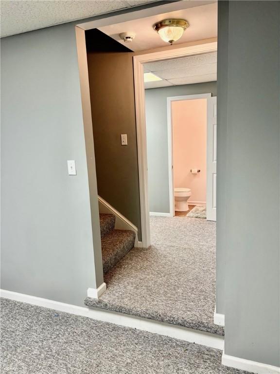 hallway with carpet floors