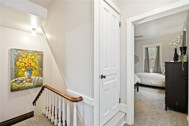 staircase featuring carpet flooring