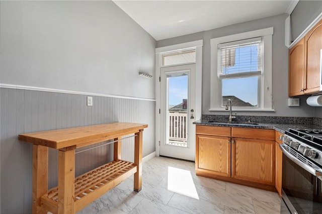 kitchen with stainless steel range with gas cooktop, sink, a healthy amount of sunlight, and wooden counters