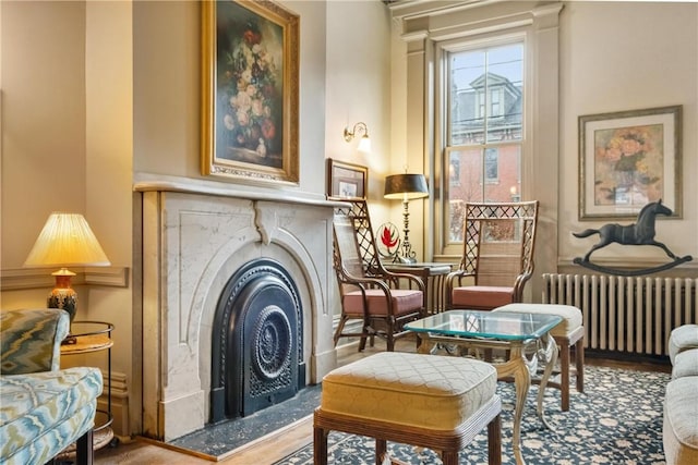 living area with radiator