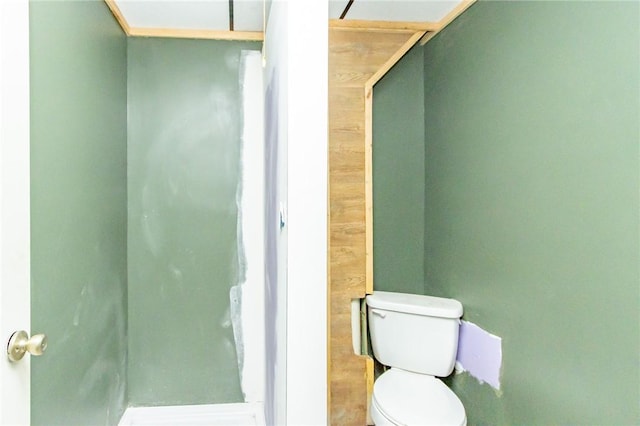 119 Deer Rd, Loyalhanna, PA 15681 - bathroom with toilet and a shower
