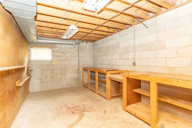 119 Deer Rd, Loyalhanna, PA 15681 - below grade area with a workshop area and concrete block wall