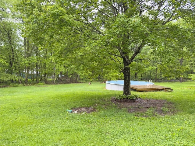 119 Deer Rd, Loyalhanna, PA 15681 - view of grassy yard featuring an outdoor pool