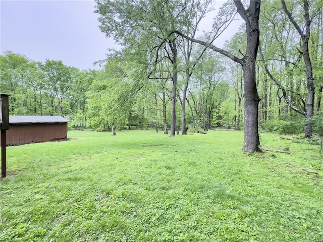 119 Deer Rd, Loyalhanna, PA 15681 - view of green lawn with a wooded view