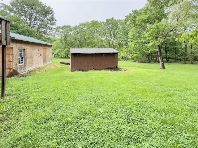119 Deer Rd, Loyalhanna, PA 15681 - view of grassy yard featuring an outdoor structure and a storage shed