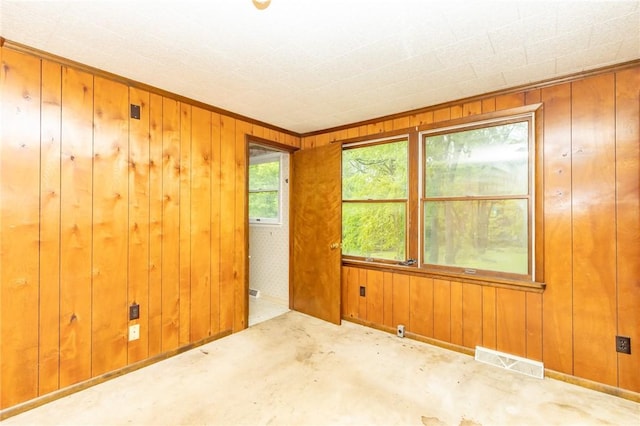 119 Deer Rd, Loyalhanna, PA 15681 - spare room featuring wooden walls, carpet, and baseboards