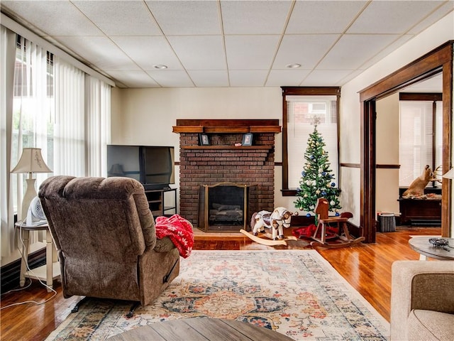 living room with a fireplace, hardwood / wood-style flooring, plenty of natural light, and a drop ceiling