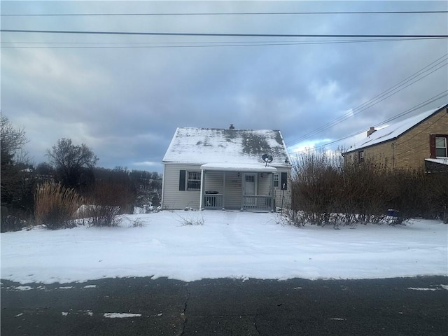 view of cape cod house