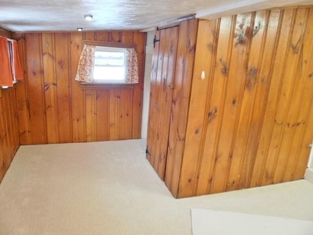 interior space with wood walls and carpet