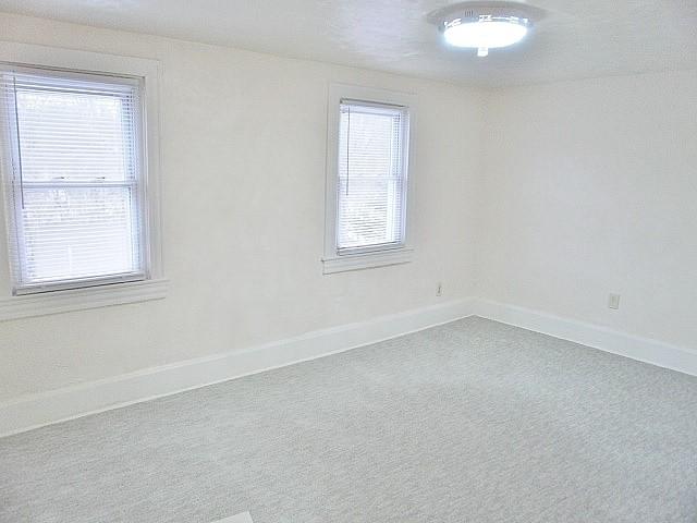 spare room featuring carpet floors and a wealth of natural light