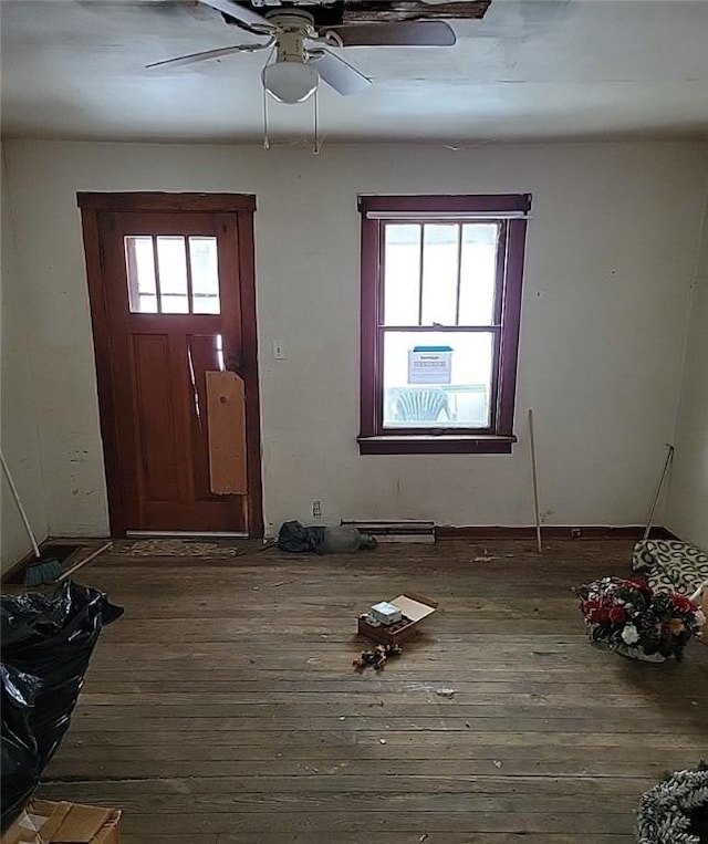 foyer featuring plenty of natural light and dark hardwood / wood-style flooring