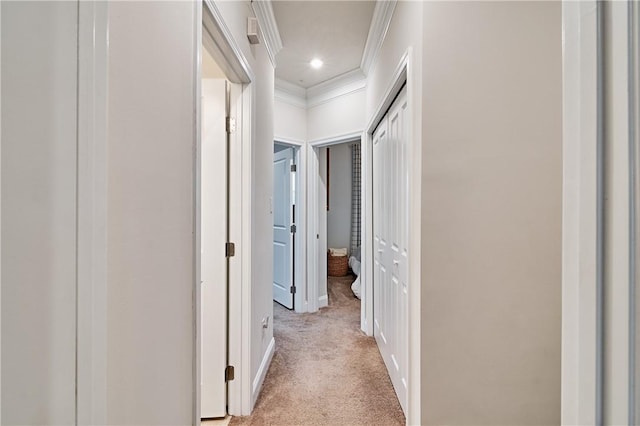 hall featuring light colored carpet and ornamental molding