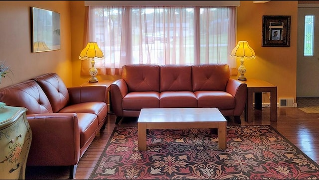 living room featuring wood-type flooring