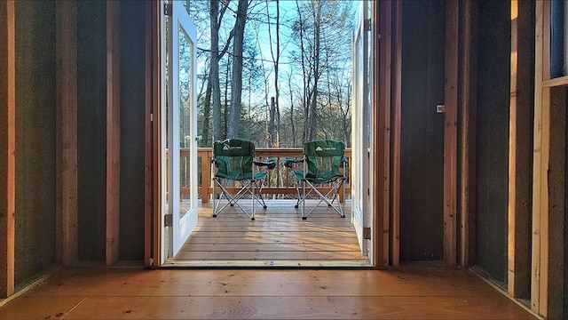 entryway featuring hardwood / wood-style flooring