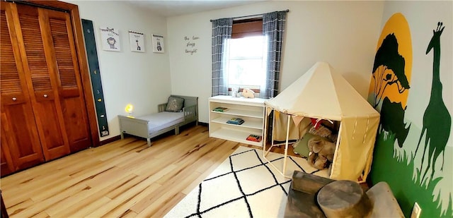 mudroom featuring light hardwood / wood-style floors