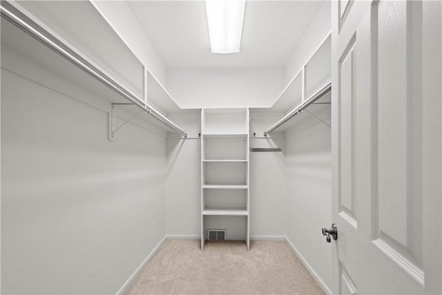 spacious closet with light carpet