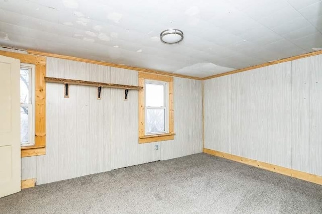 spare room with carpet floors and ornamental molding