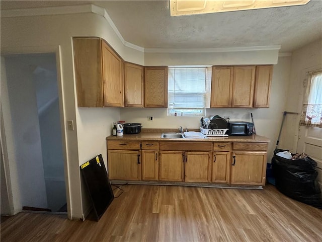 kitchen with sink, light hardwood / wood-style floors, and plenty of natural light