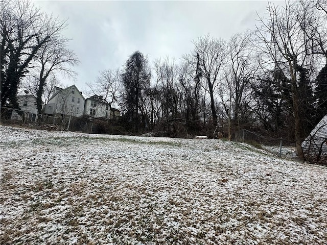 view of yard covered in snow