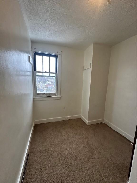 unfurnished room featuring carpet floors and a textured ceiling