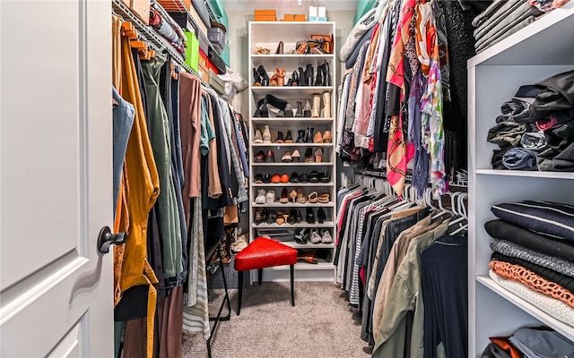 spacious closet featuring carpet flooring